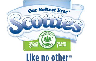 Scotties Logo