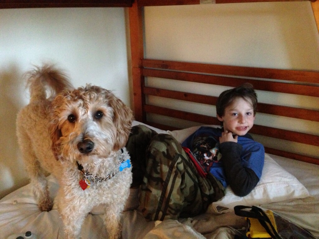 Jason relaxes on the bottom bunk with his doggy cousin Chase.