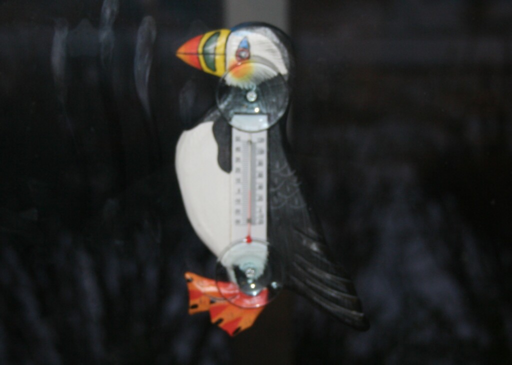 Puffin window thermometer
