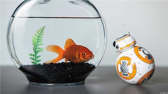BB8 Fish Bowl