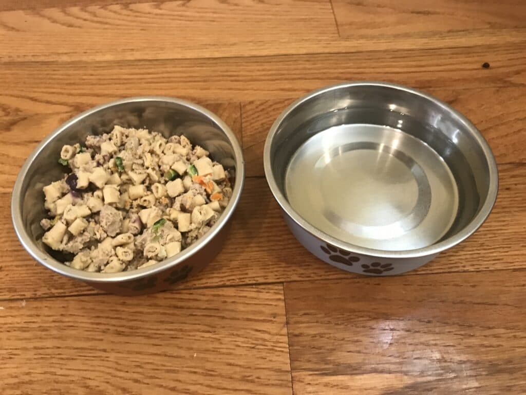 healthy dog food in bowl