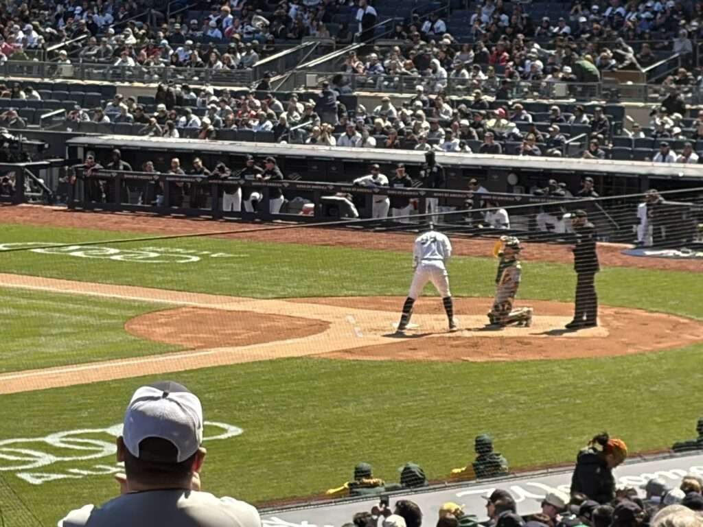 Aaron Judge at bat